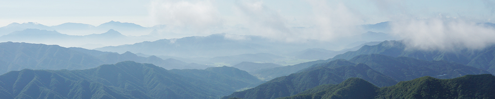 협동조직 홈페이지의 비쥬얼 이미지